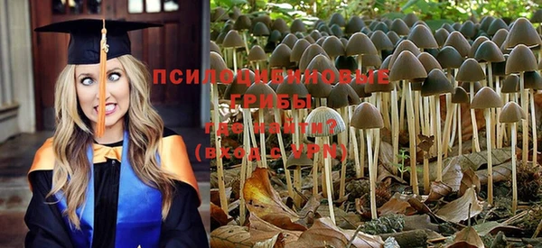 mix Армянск