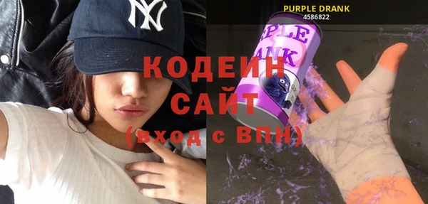 прущий лед Арсеньев