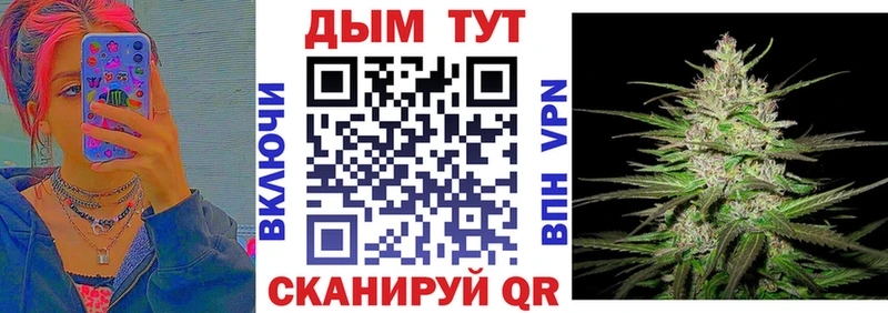Конопля сатива сколько стоит Мышкин